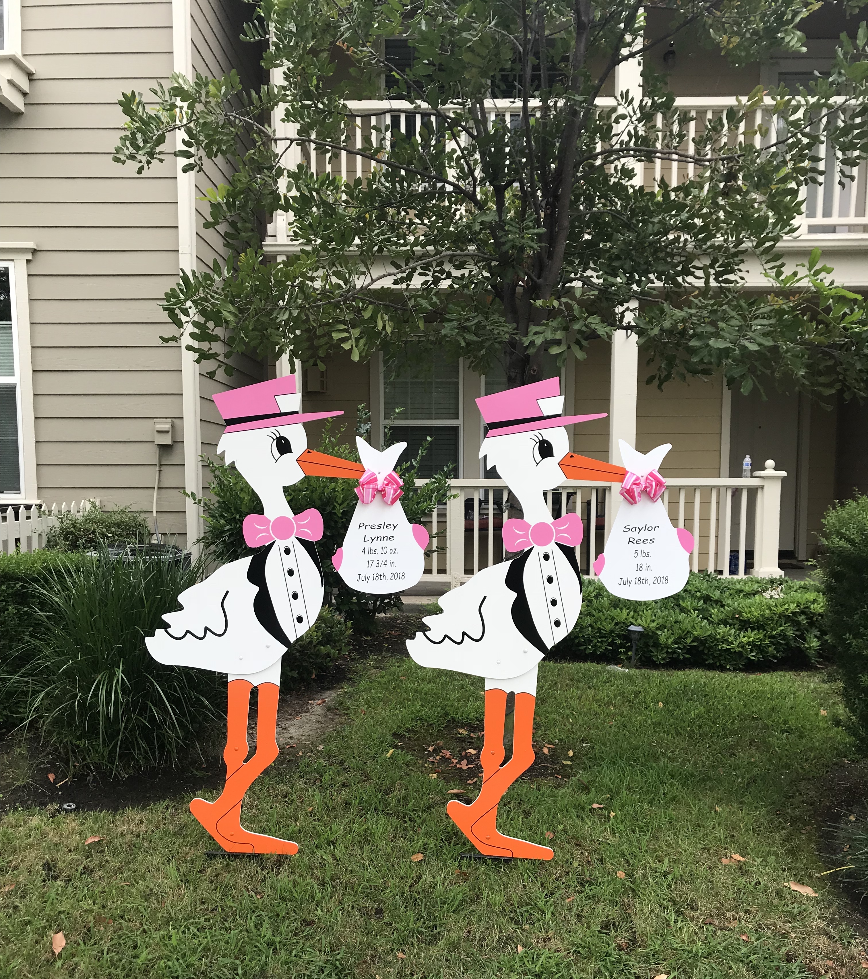 Twin Décoration Yard Stork Signes Kit Gazon Birth Announcement New Baby Art 